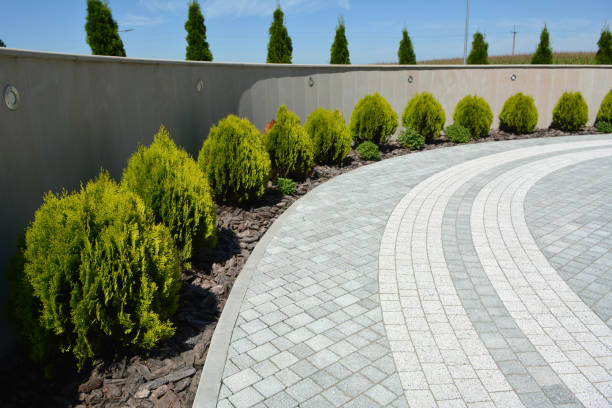 Reasons to Select Us for Your Driveway Paving Requirements in Itta Bena, MS